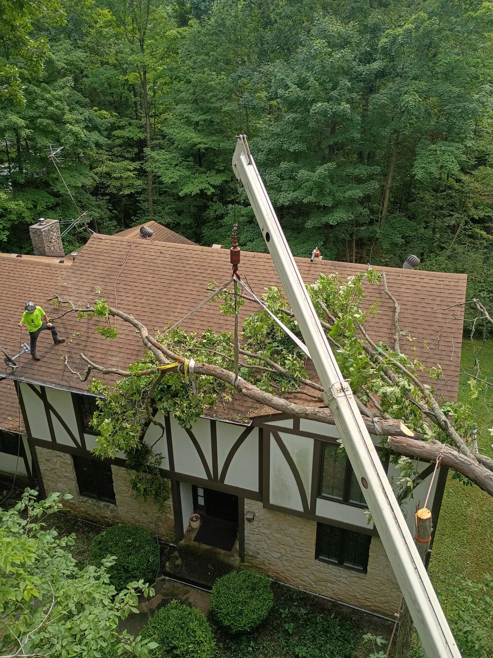 A crane lowers a large tree limb over a house roof while a worker in a hard hat stands on the shingled roof rigging branches.