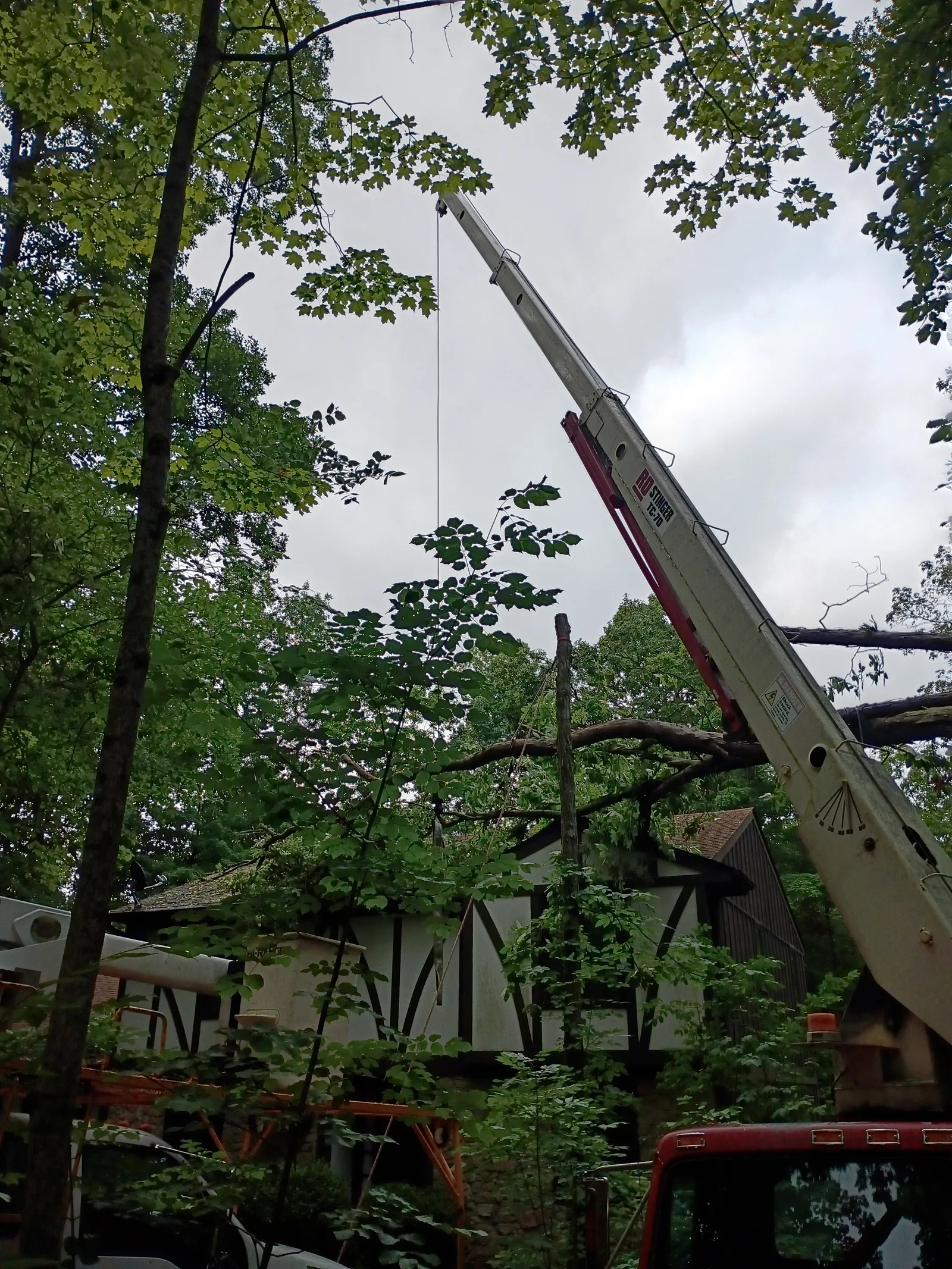 A crane with an extended boom lifts a section of tree over a Tudor-style house surrounded by tall green trees under an overcast sky.
