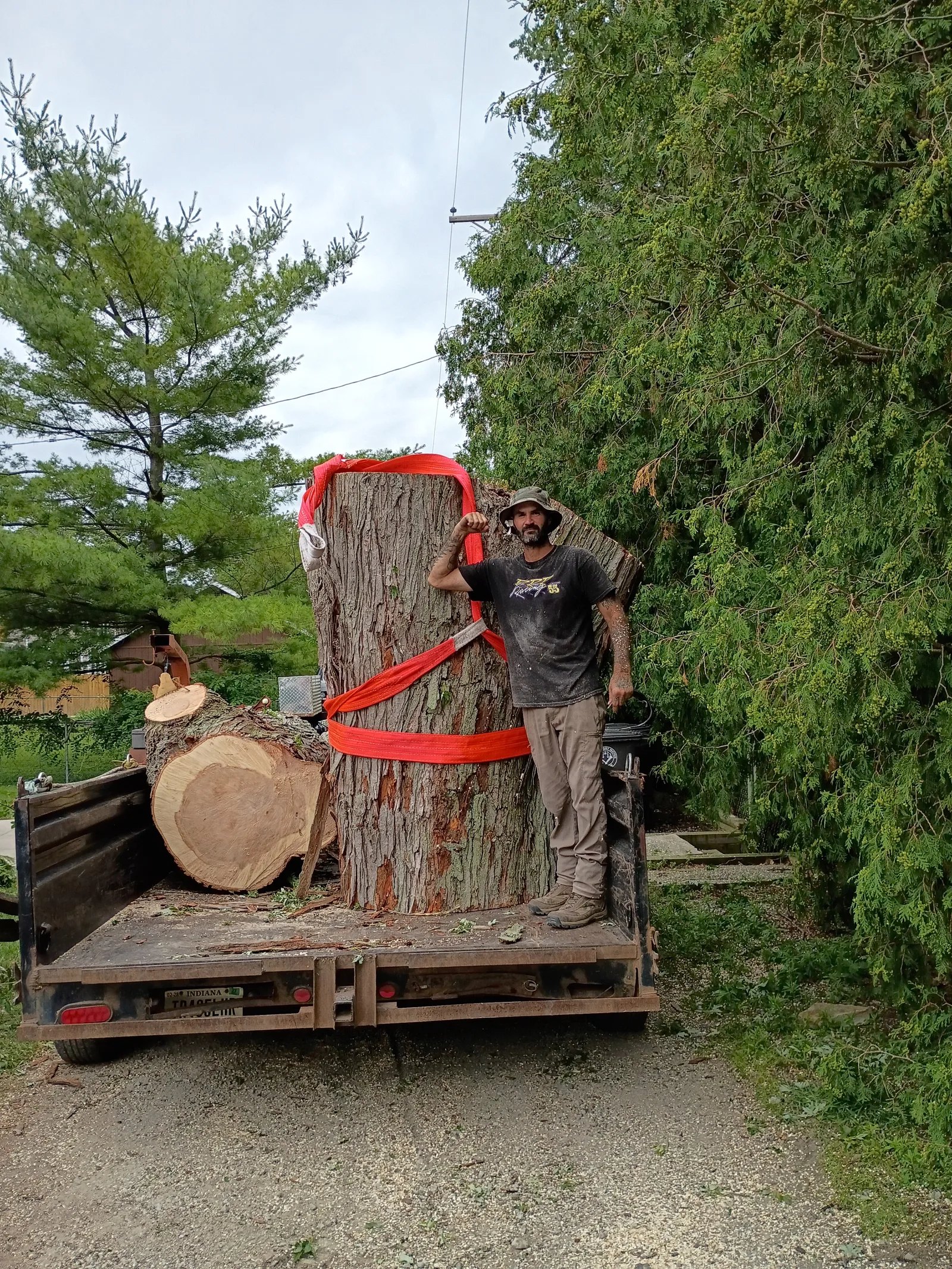 A man stands on a flatbed trailer beside a large tree trunk section secured with orange straps, with cut log rounds nearby.